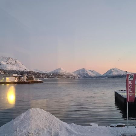 Aurora Harbour House Lodingen Exterior foto