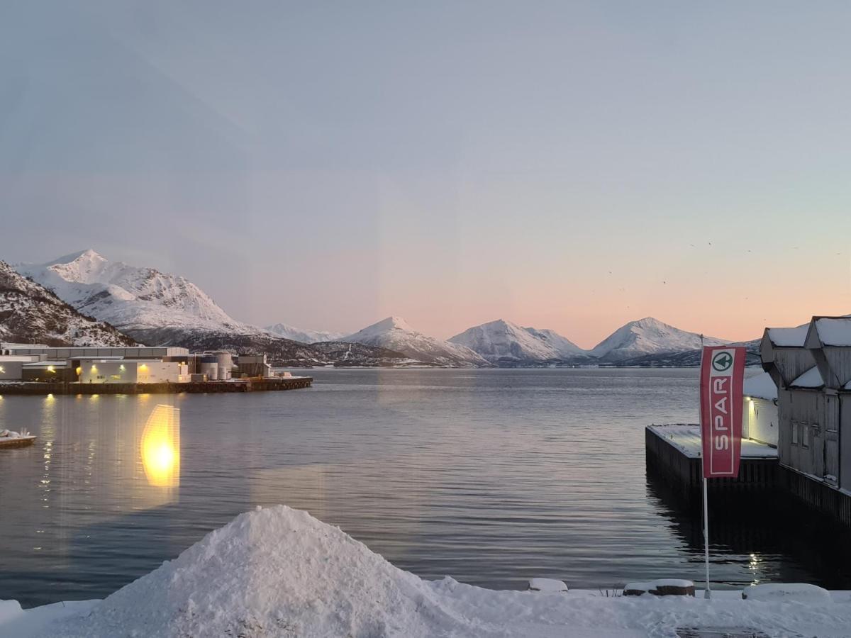 Aurora Harbour House Lodingen Exterior foto