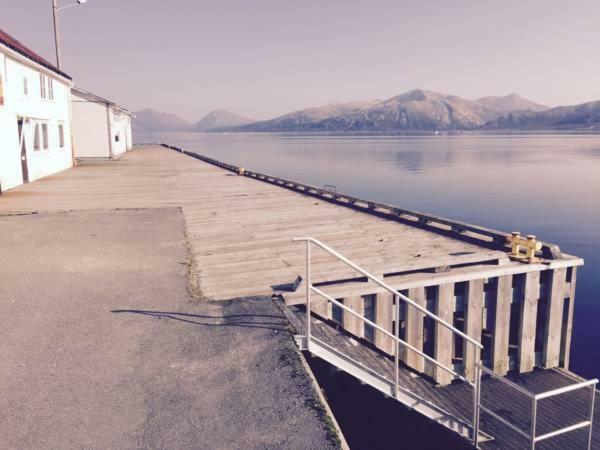 Aurora Harbour House Lodingen Exterior foto